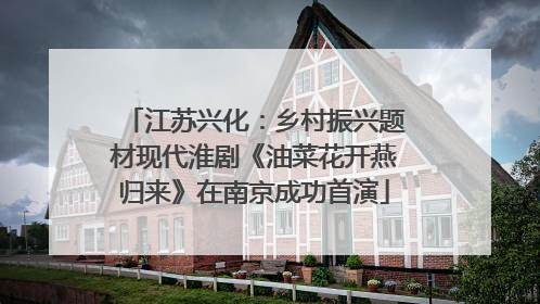 江苏兴化：乡村振兴题材现代淮剧《油菜花开燕归来》在南京成功首演