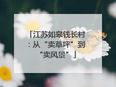 江苏如皋钱长村：从“卖草坪”到“卖风景”