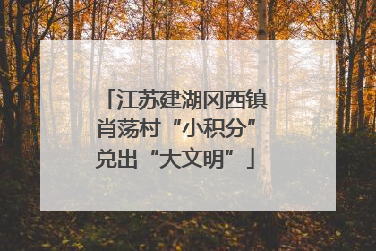 江苏建湖冈西镇肖荡村“小积分”兑出“大文明”