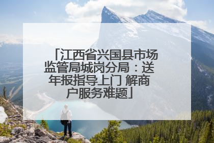 江西省兴国县市场监管局城岗分局：送年报指导上门 解商户服务难题