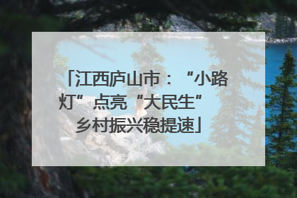 江西庐山市：“小路灯”点亮“大民生” 乡村振兴稳提速