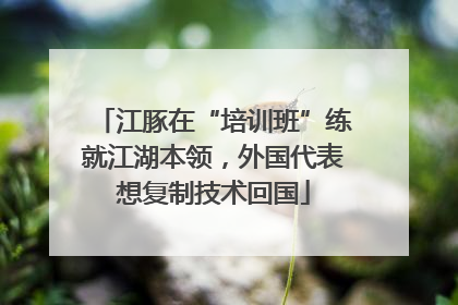 江豚在“培训班”练就江湖本领，外国代表想复制技术回国