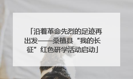 沿着革命先烈的足迹再出发——桑植县“我的长征”红色研学活动启动
