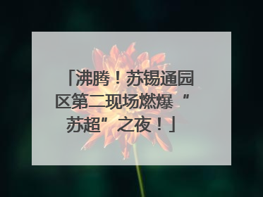 沸腾！苏锡通园区第二现场燃爆“苏超”之夜！