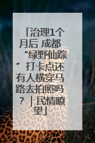 治理1个月后 成都“绿野仙踪”打卡点还有人横穿马路去拍照吗？｜民情瞭望