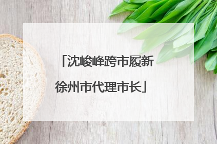 沈峻峰跨市履新徐州市代理市长