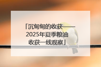 沉甸甸的收获——2025年夏季粮油收获一线观察
