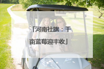 河南社旗：千亩蓝莓迎丰收