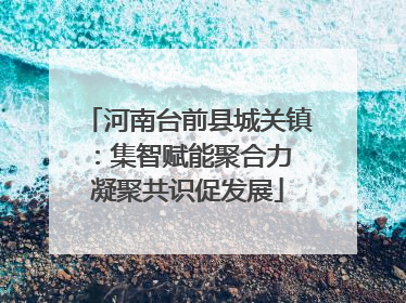 河南台前县城关镇：集智赋能聚合力 凝聚共识促发展