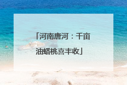 河南唐河：千亩油蟠桃喜丰收