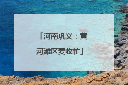 河南巩义：黄河滩区麦收忙
