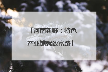 河南新野：特色产业铺就致富路