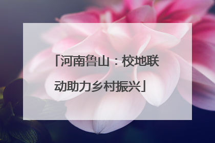 河南鲁山：校地联动助力乡村振兴
