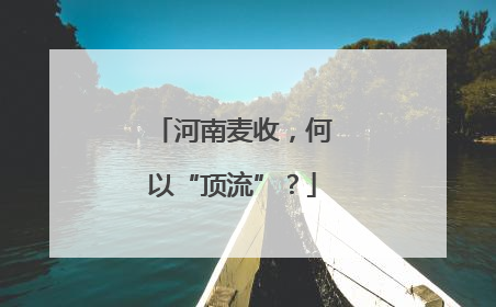 河南麦收，何以“顶流”？