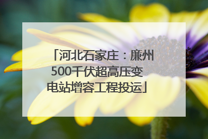 河北石家庄：廉州500千伏超高压变电站增容工程投运