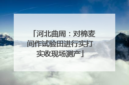 河北曲周：对棉麦间作试验田进行实打实收现场测产