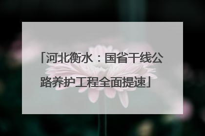 河北衡水：国省干线公路养护工程全面提速
