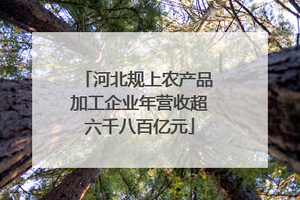 河北规上农产品加工企业年营收超六千八百亿元