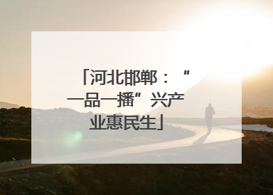 河北邯郸：“一品一播”兴产业惠民生