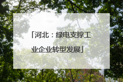 河北：绿电支撑工业企业转型发展