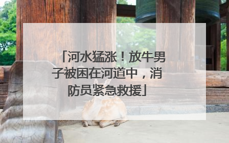河水猛涨！放牛男子被困在河道中，消防员紧急救援