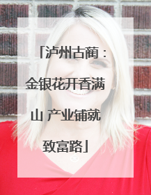 泸州古蔺：金银花开香满山 产业铺就致富路