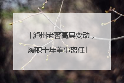 泸州老窖高层变动，履职十年董事离任
