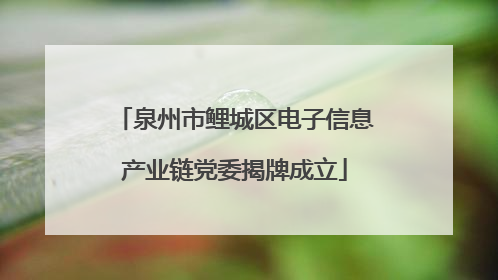 泉州市鲤城区电子信息产业链党委揭牌成立