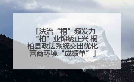 法治“桐”频发力 “柏”业锦绣正兴 桐柏县政法系统交出优化营商环境“成绩单”