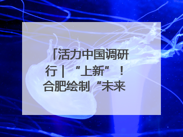 活力中国调研行｜“上新”！合肥绘制“未来产业图谱”