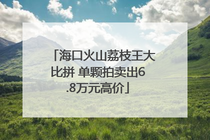 海口火山荔枝王大比拼 单颗拍卖出6.8万元高价