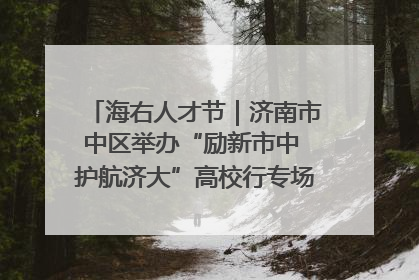 海右人才节｜济南市中区举办“励新市中 护航济大”高校行专场活动暨“青年人才 乐享市中”品牌推介会