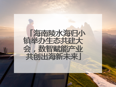 海南陵水海归小镇举办生态共建大会，数智赋能产业共创出海新未来
