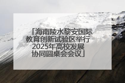 海南陵水黎安国际教育创新试验区举行2025年高校发展协同圆桌会会议