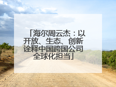海尔周云杰：以开放、生态、创新诠释中国跨国公司全球化担当