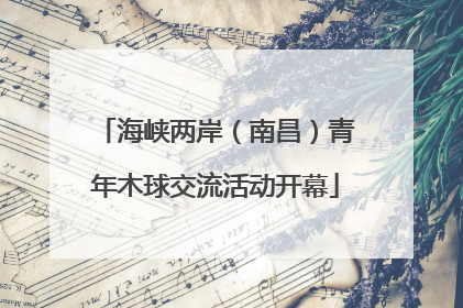 海峡两岸（南昌）青年木球交流活动开幕