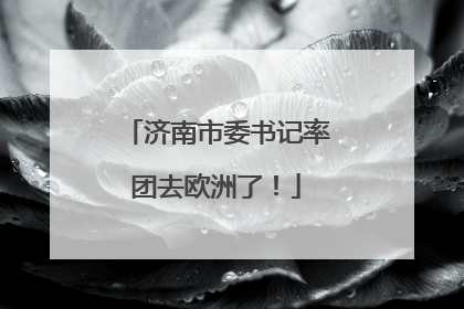 济南市委书记率团去欧洲了！
