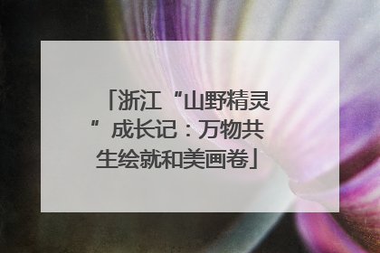 浙江“山野精灵”成长记：万物共生绘就和美画卷