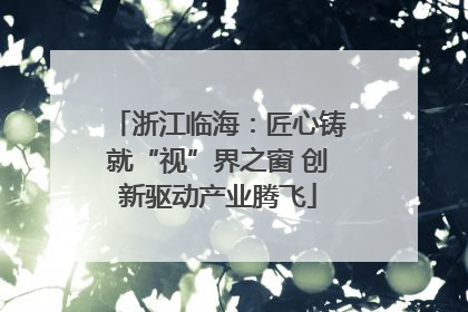 浙江临海：匠心铸就“视”界之窗 创新驱动产业腾飞