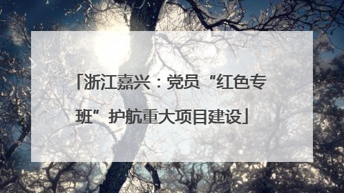 浙江嘉兴：党员“红色专班”护航重大项目建设