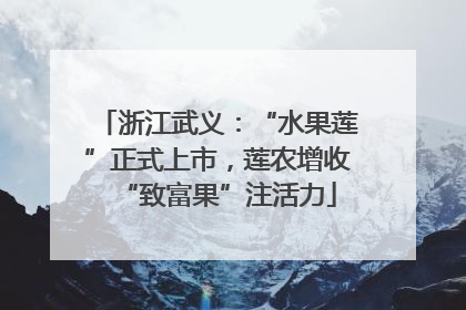 浙江武义：“水果莲”正式上市，莲农增收“致富果”注活力