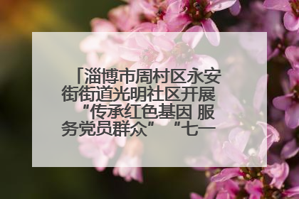 淄博市周村区永安街街道光明社区开展“传承红色基因 服务党员群众”“七一”系列主题活动