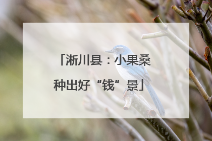 淅川县：小果桑种出好“钱”景