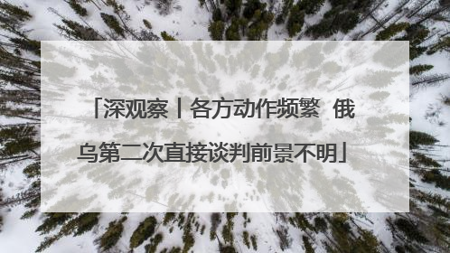 深观察丨各方动作频繁  俄乌第二次直接谈判前景不明