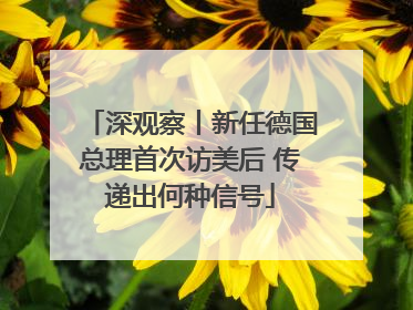 深观察丨新任德国总理首次访美后 传递出何种信号