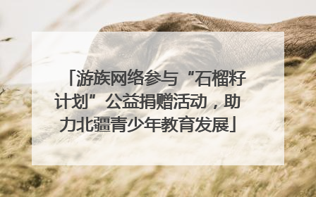游族网络参与“石榴籽计划”公益捐赠活动，助力北疆青少年教育发展