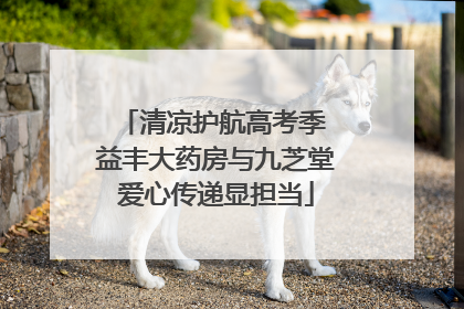清凉护航高考季 益丰大药房与九芝堂爱心传递显担当