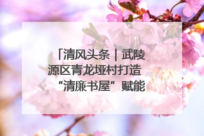 清风头条｜武陵源区青龙垭村打造“清廉书屋”赋能乡村振兴新风尚