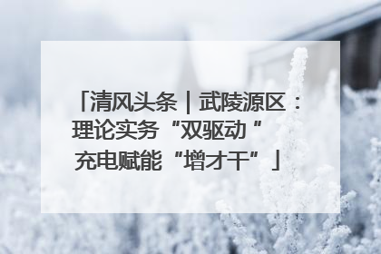 清风头条｜武陵源区：理论实务“双驱动 ” 充电赋能“增才干”