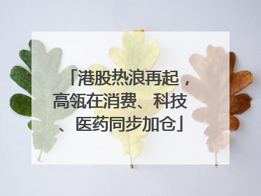 港股热浪再起，高瓴在消费、科技、医药同步加仓